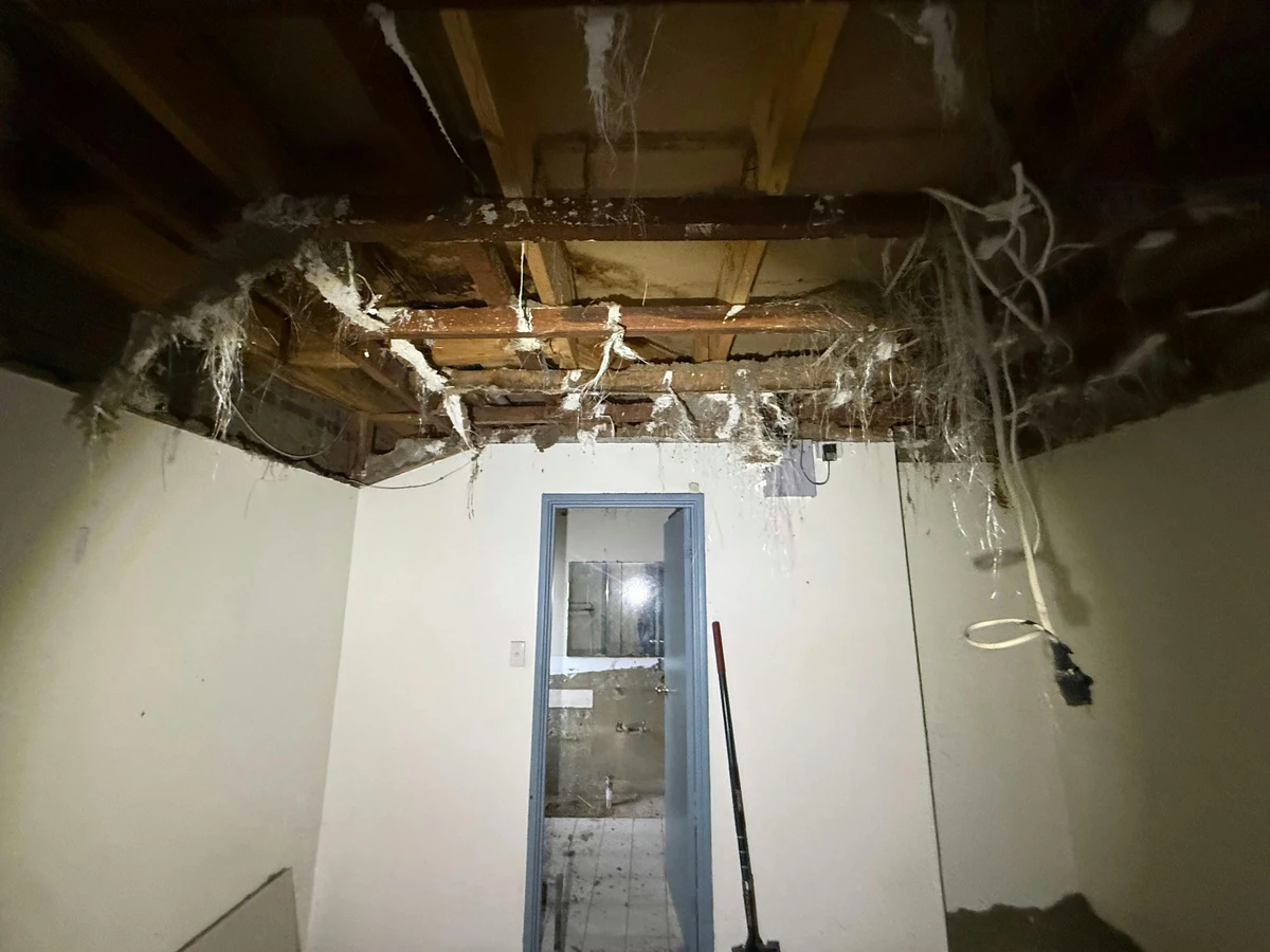 B&P Carpentry project showcase